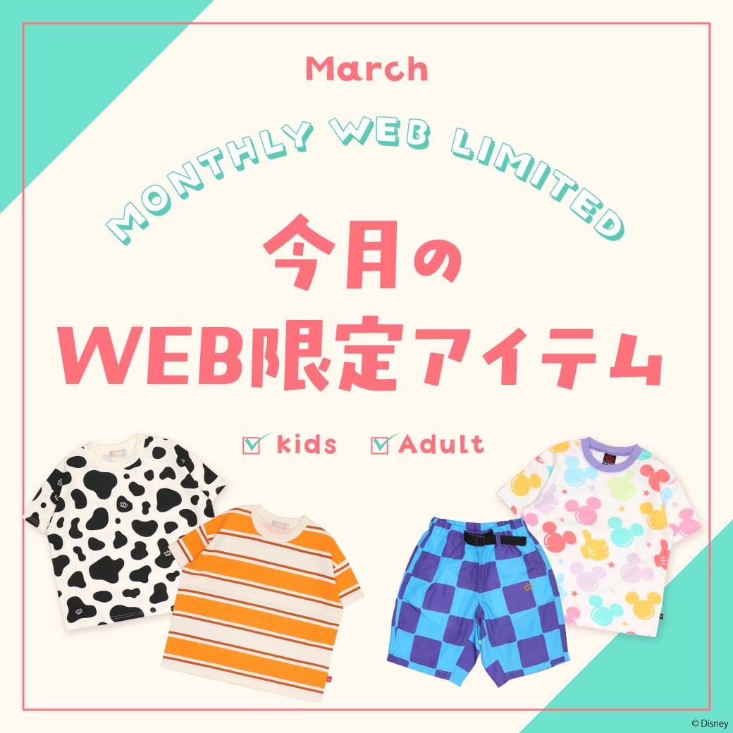 WEB限定